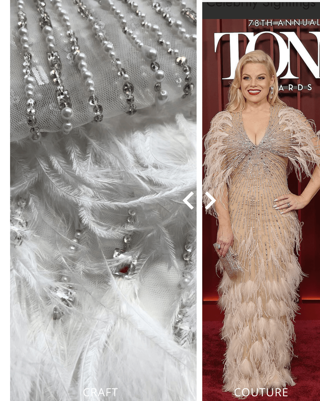 Feather and crystal handcrafted embroidery